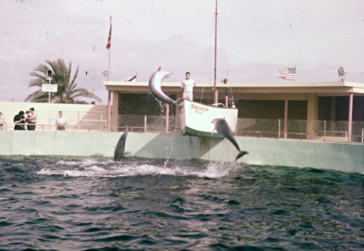Box 2 (1958-59)