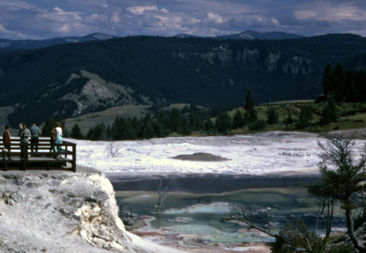 Box 5 (1966-67)
